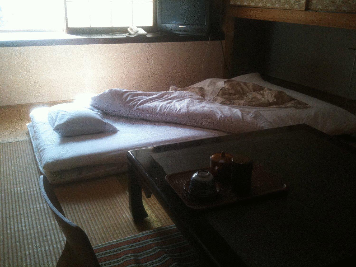 Kamesei Ryokan Chikuma Dış mekan fotoğraf